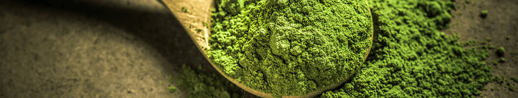 Sugimoto Tea Wholesale