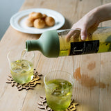 HARIO Cold Brew Bottle - Sage Green
