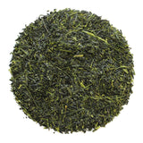 Single Cultivar Sencha Zairai LIMITED QUANTITY 1.0 LB