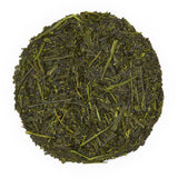 Sencha Fukamushi 1 LB