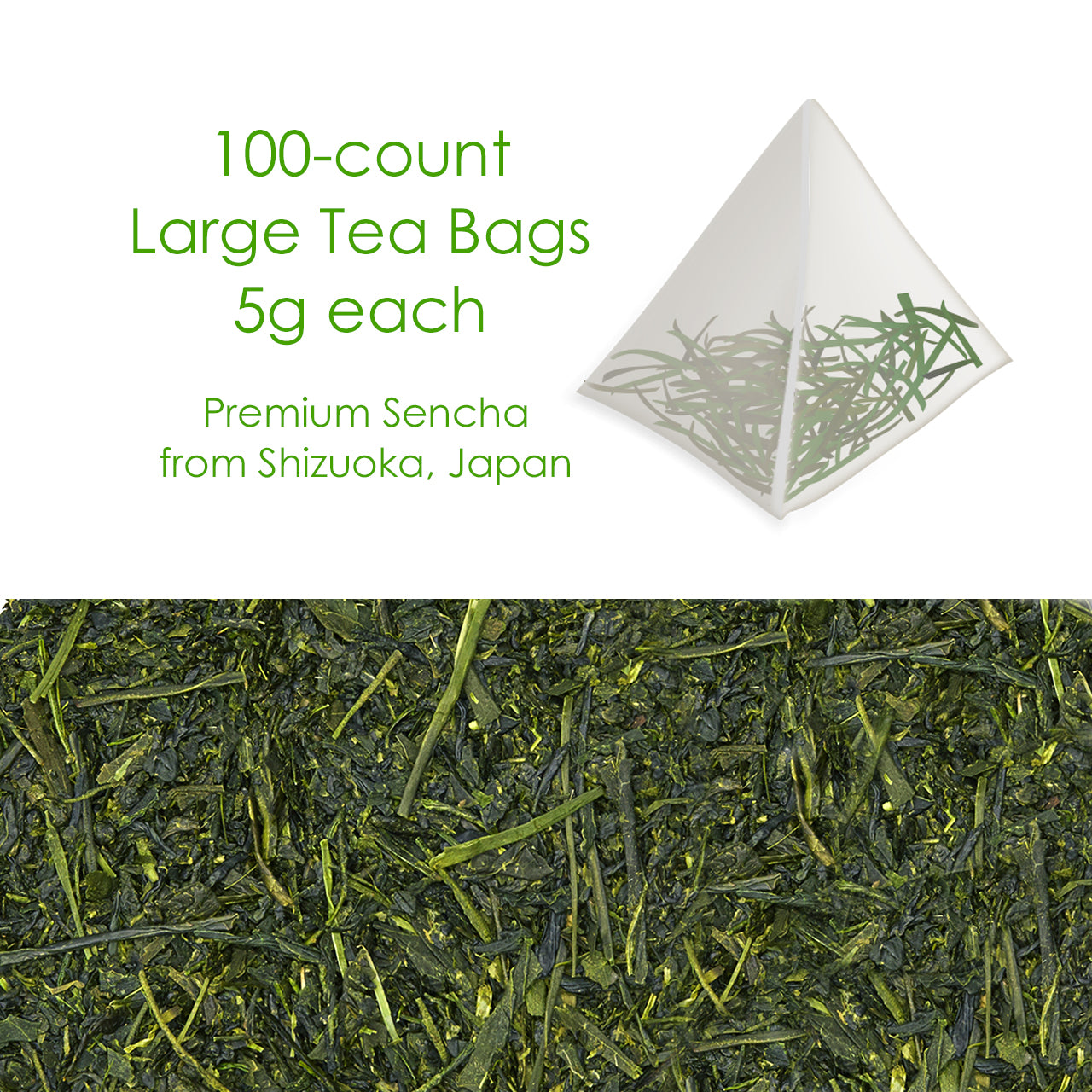 Sencha Large Tea Bag 100 Count