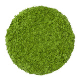 Primo Cafe Matcha 1kg