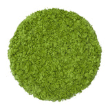 Premium Culinary Matcha 0.5 LB