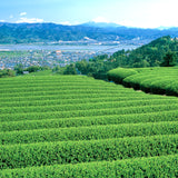 Sugimoto Reserve Homare Sencha 0.5 LB