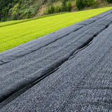 Organic Ceremonial Matcha Tin