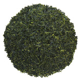 Single Cultivar Sencha Kirari 31 0.5 LB LIMITED QUANTITY